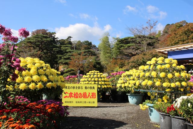 二本松市　菊人形